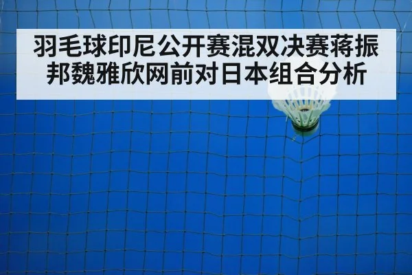 badminton mixed doubles net shot